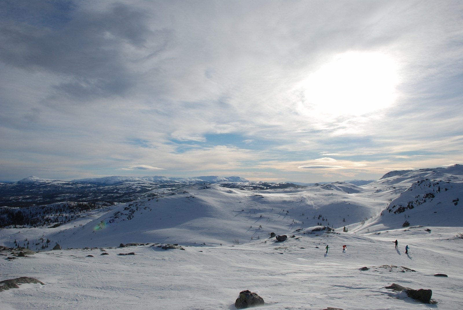 Vegglifjell Galleribilde
