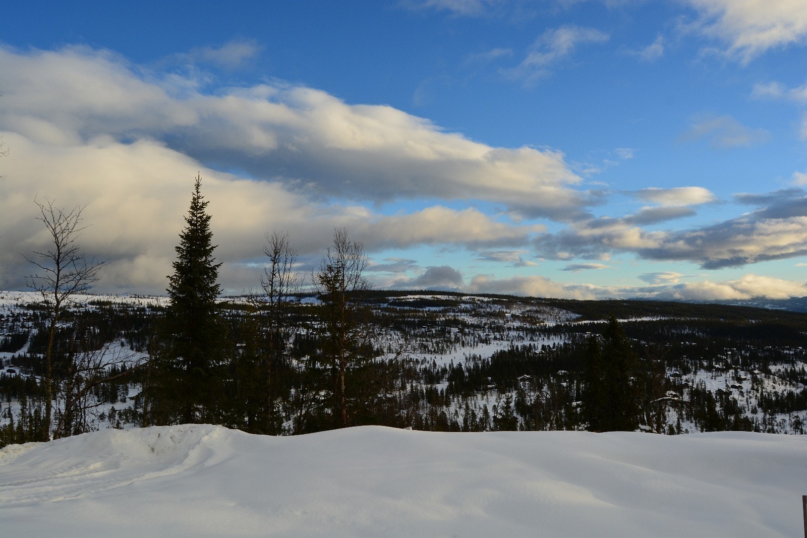 Panoramautsikt vinter Galleribilde