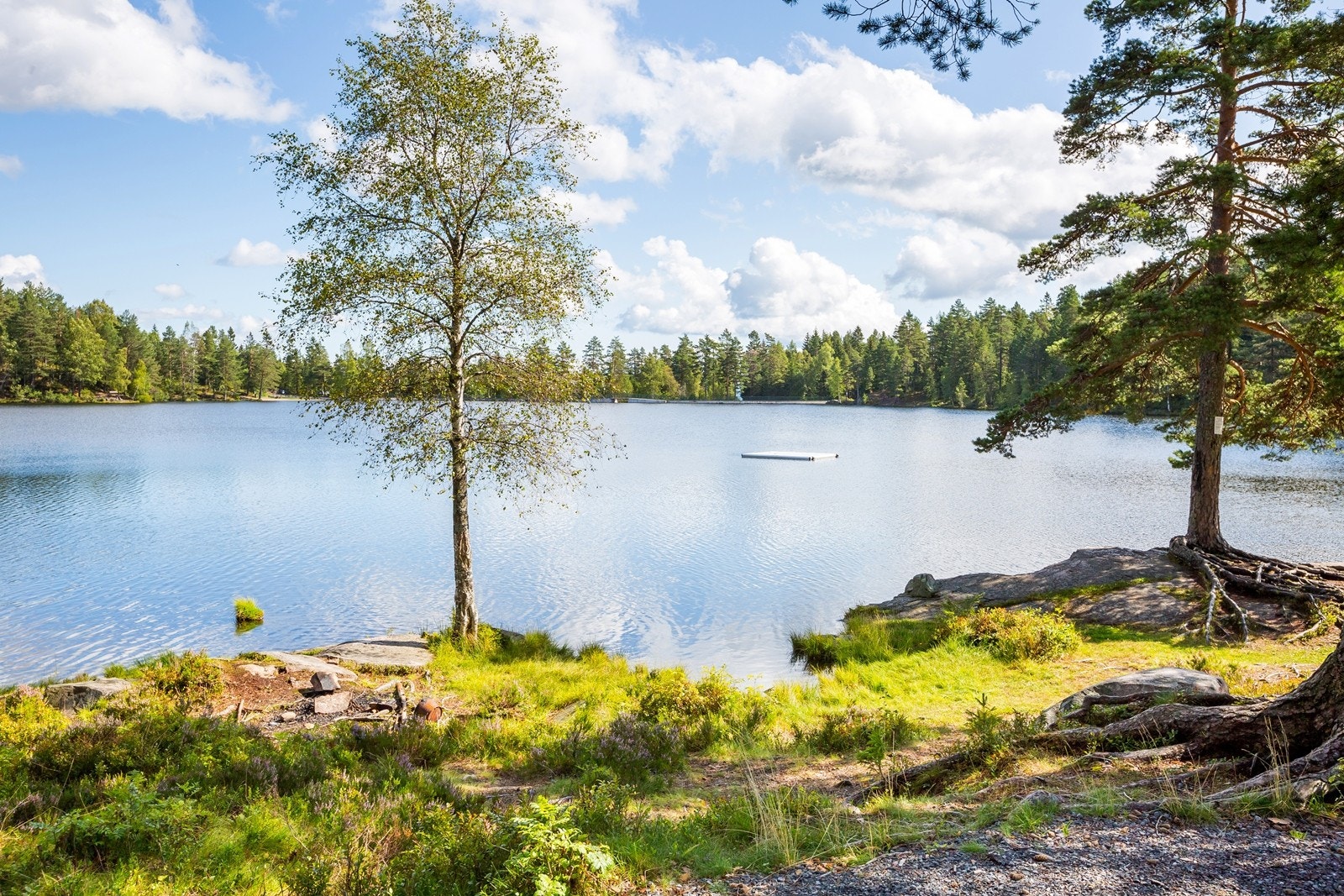 Landfalltjern Galleribilde