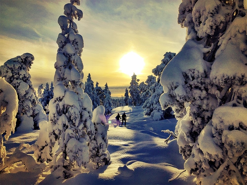 Idyllisk vinterstemning i Drammensmarka. Foto: happytimes.no Galleribilde