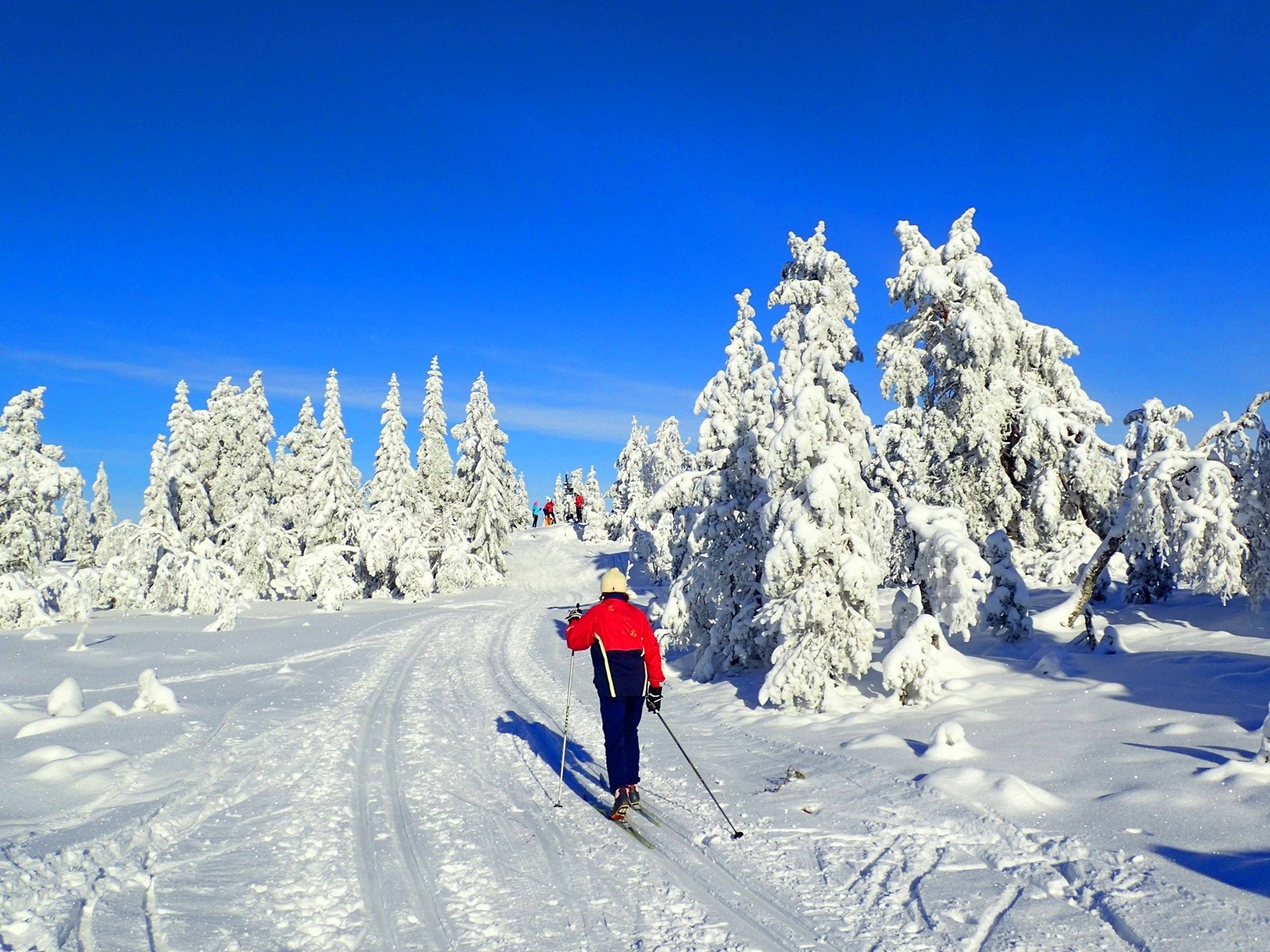 Med Skimtvarden i sikte - vinteridyll i marka Galleribilde