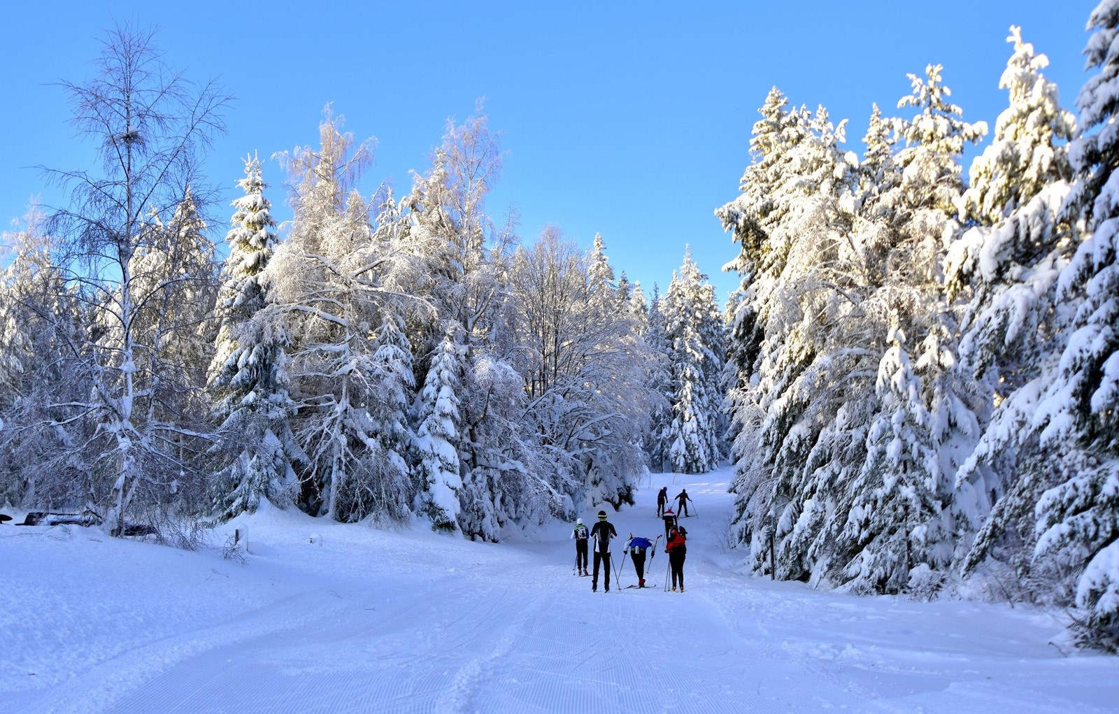 Fantastisk skiløypenett rett utenfor hyttedøra Galleribilde