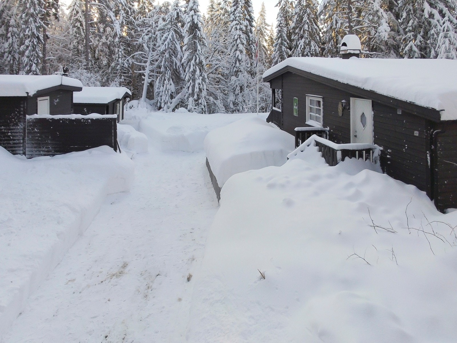Innkjøringen til eiendommen Galleribilde