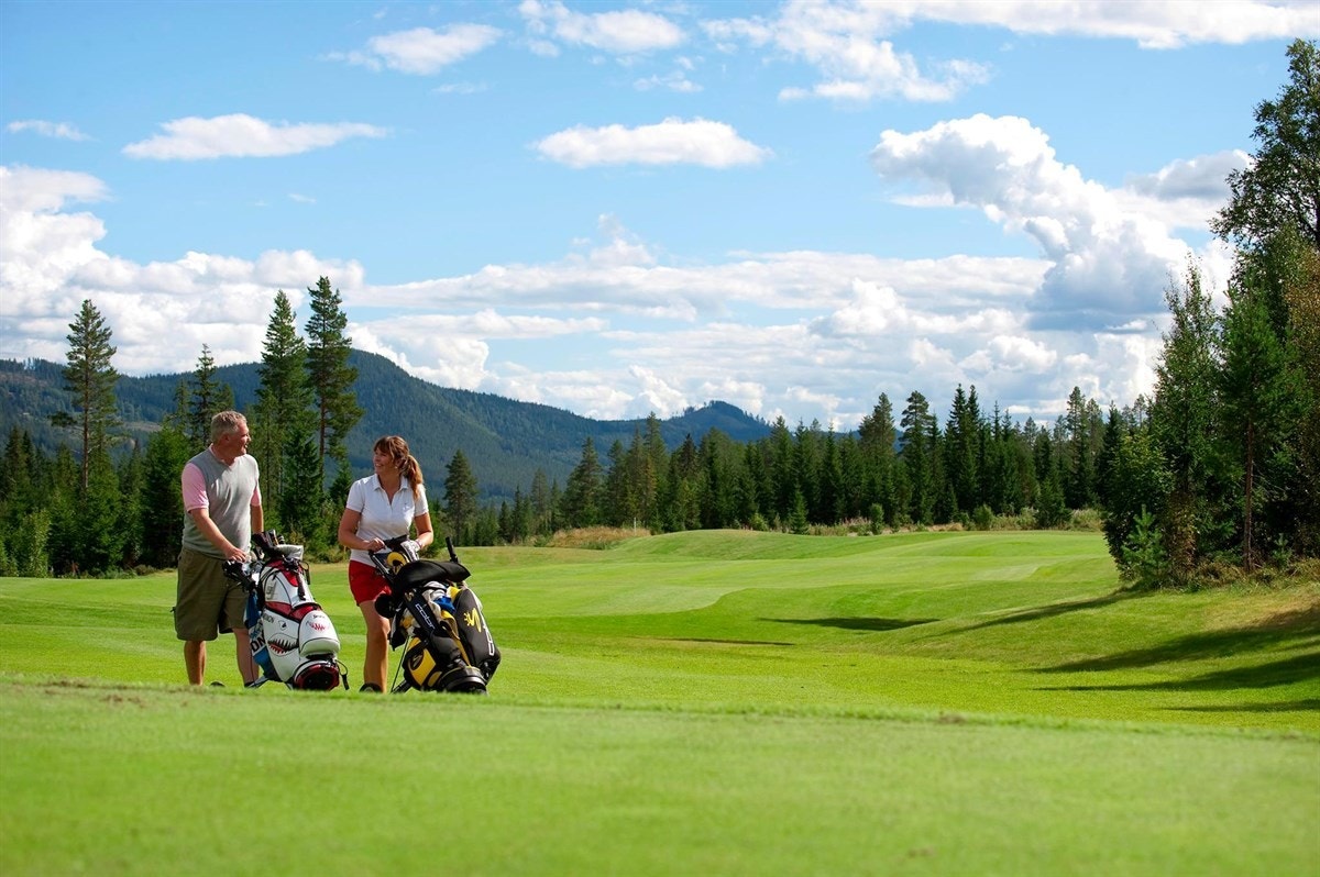 Golfbane rett ved hytten Galleribilde