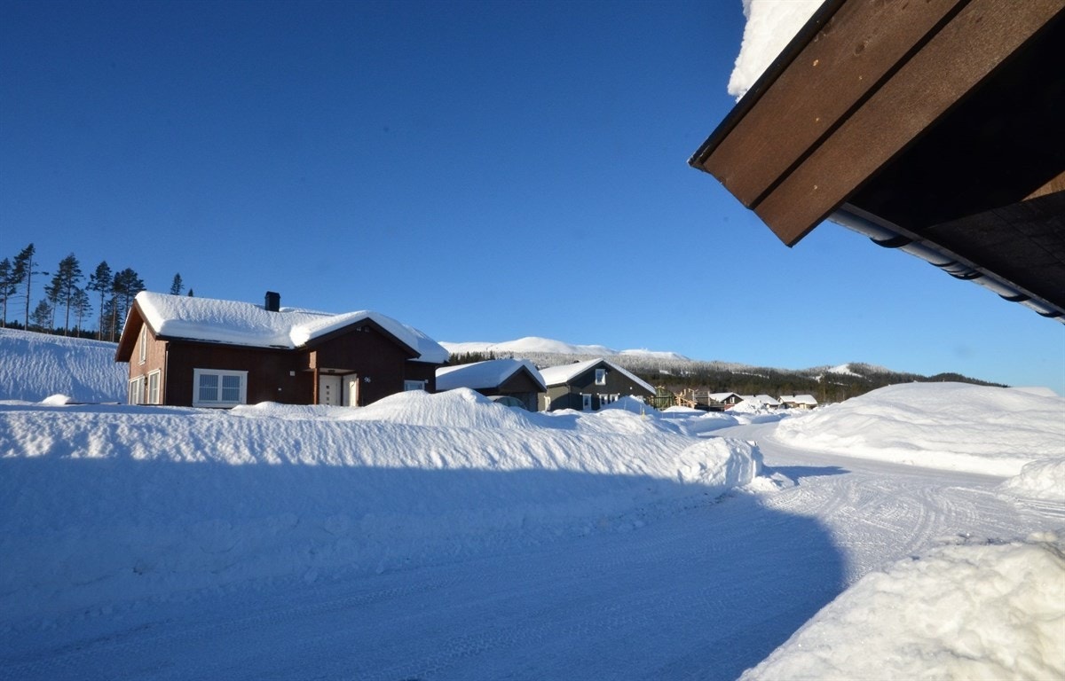 Utsikt mot Trysilfjellet fra inngangsdøren på hytten. Galleribilde