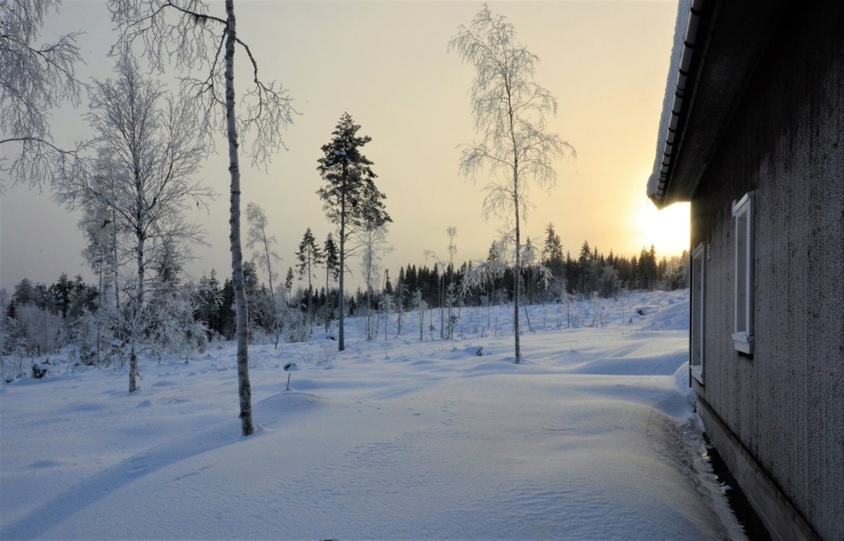 Fritt utsyn. Galleribilde