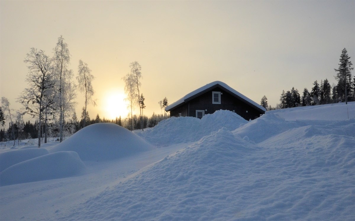 Den beste og mest usjenerte tomten på området. Galleribilde