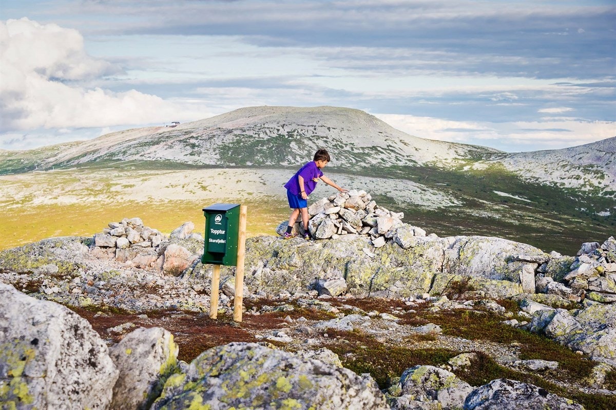 Vandring i Trysilfjellet Galleribilde