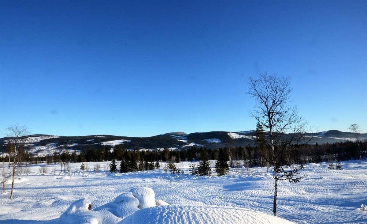 Utsikten fra eiendommen fra baksiden. Galleribilde