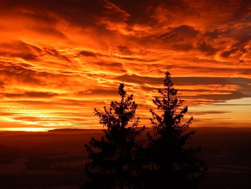 Leiligheten er gjennomgående med terrasse fra stuen og veranda fra kjøkken Galleribilde