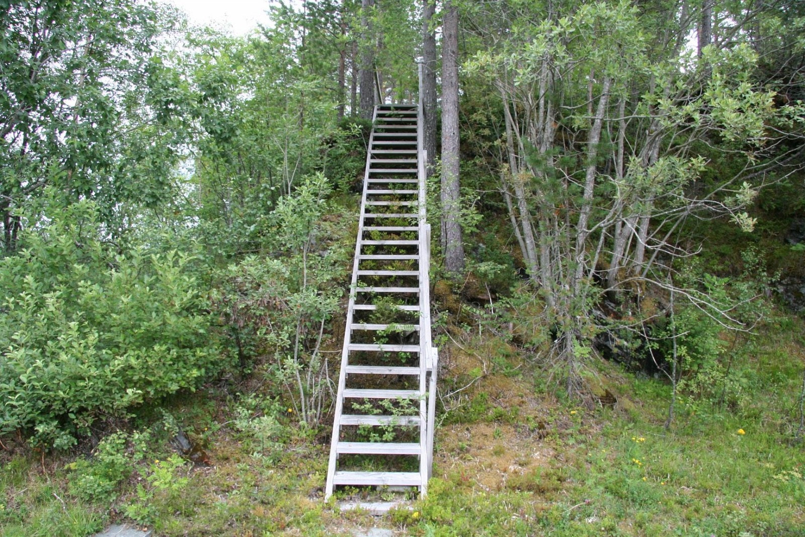 IMG_6879.JPG Galleribilde