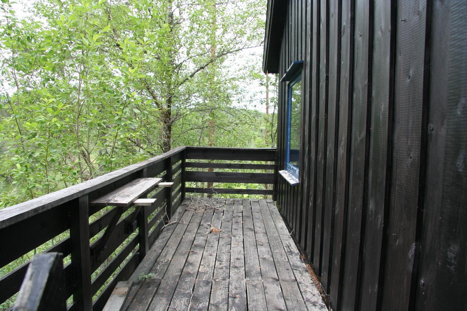 IMG_6844.JPG Galleribilde