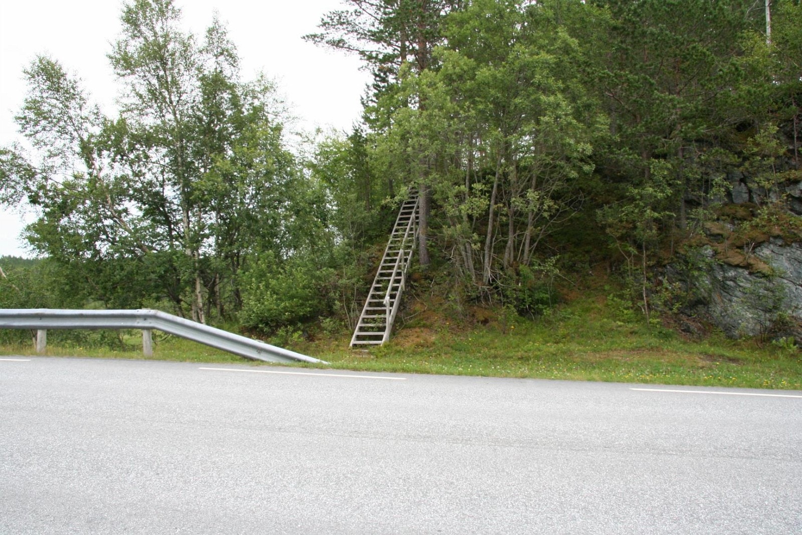 IMG_6878.JPG Galleribilde