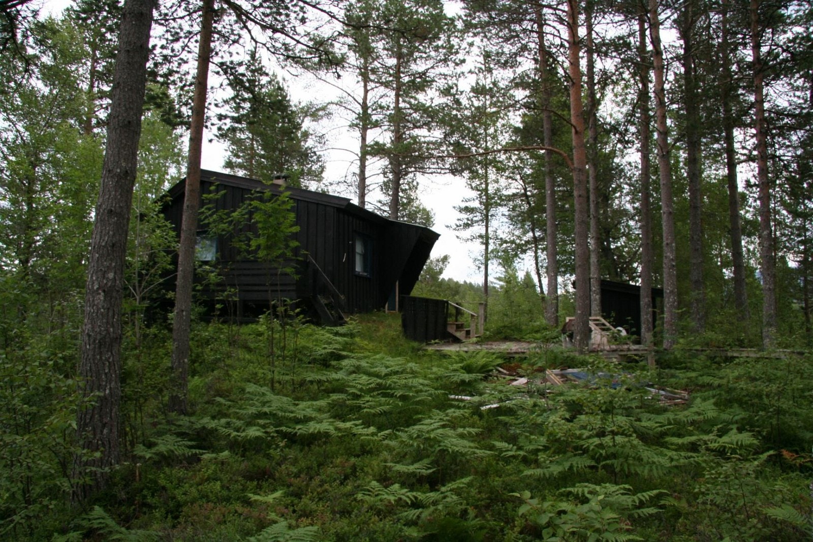 IMG_6854.JPG Galleribilde