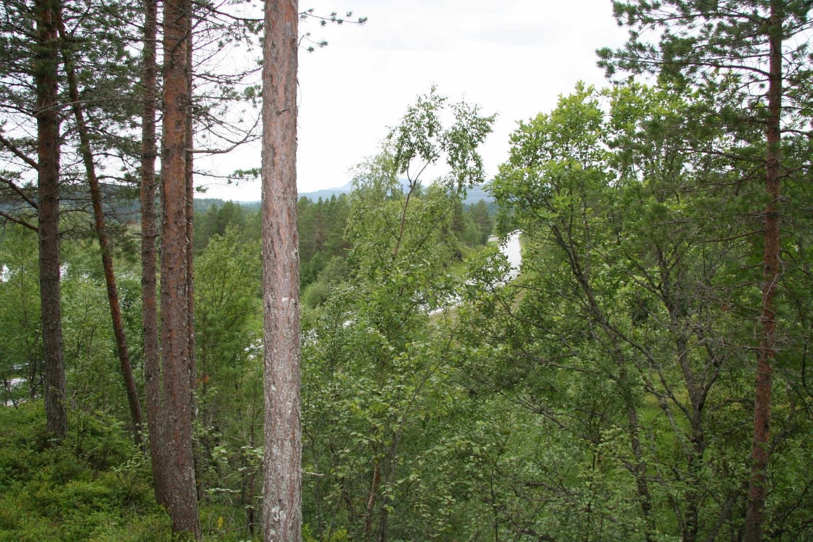 IMG_6876.JPG Galleribilde