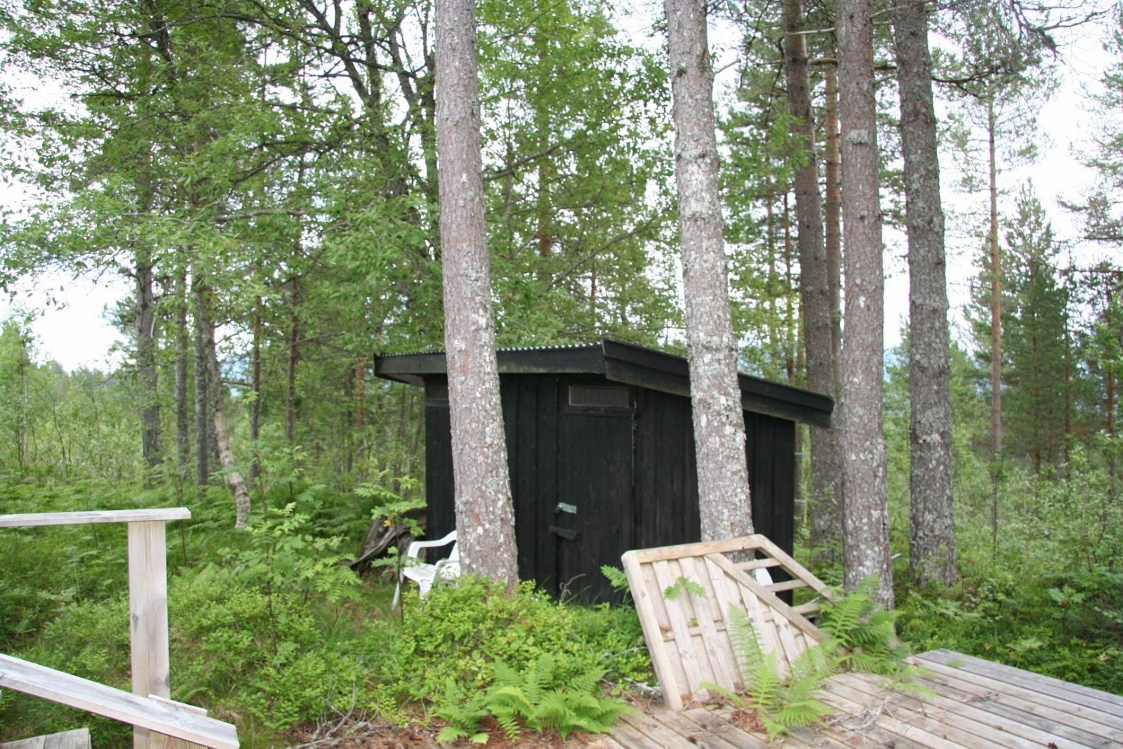 IMG_6843.JPG Galleribilde