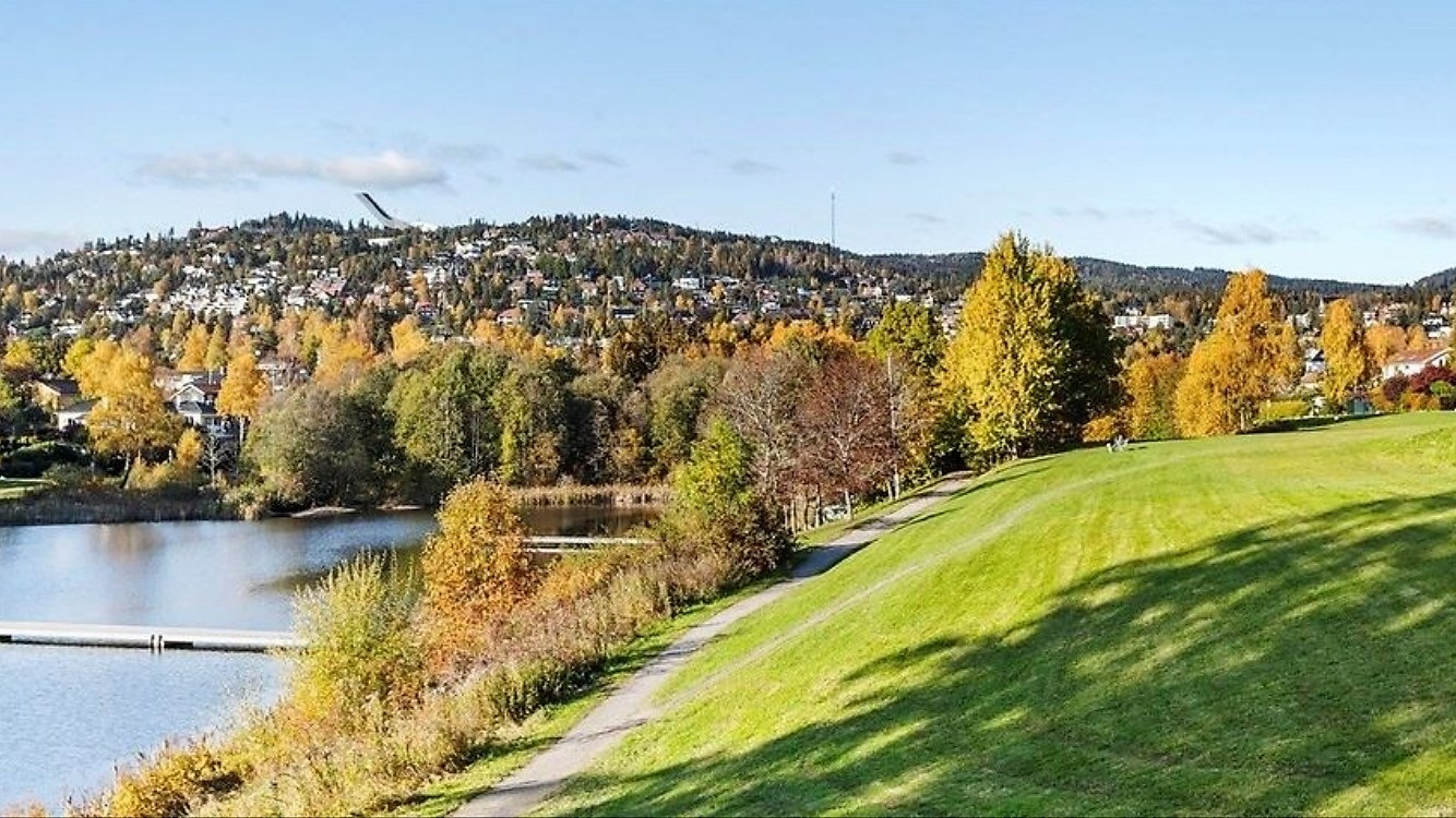 Holmendammen friområde Galleribilde