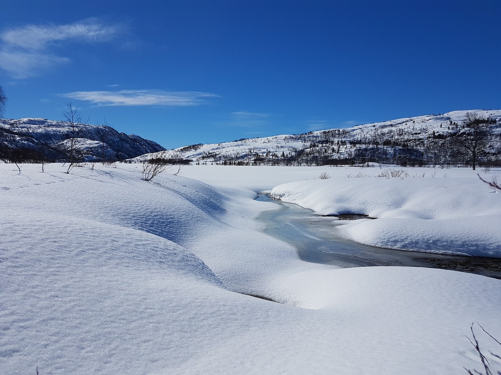 Fidjelands bekken, like ved... Galleribilde