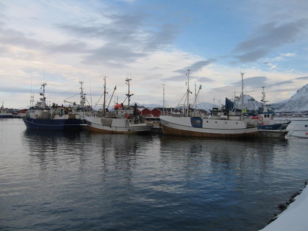 I Øksnes står fiskerinæringen i sentrum. Den lokale fiskeflåten teller ca 100 fartøyer. Galleribilde