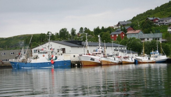 Øksnes betegnes som Skreikommunen, pga det store mottaket av råstoff fra nære fiskefelt. Dette preger det lokale næringslivet. Galleribilde