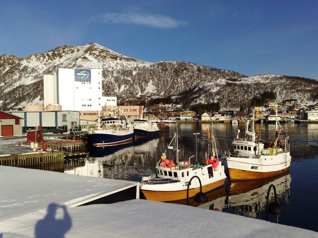 Fiskefôrprodusenten Biomar har fabrikk og hovedkontoret sitt på Myre, og fiskeriparken tilbyr utviklingstjenester rettet mot marint næringsliv. Galleribilde