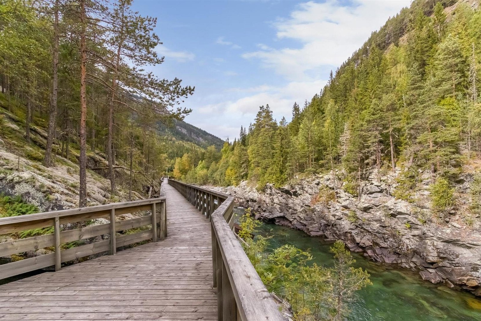Gangbru nedover elven. Galleribilde