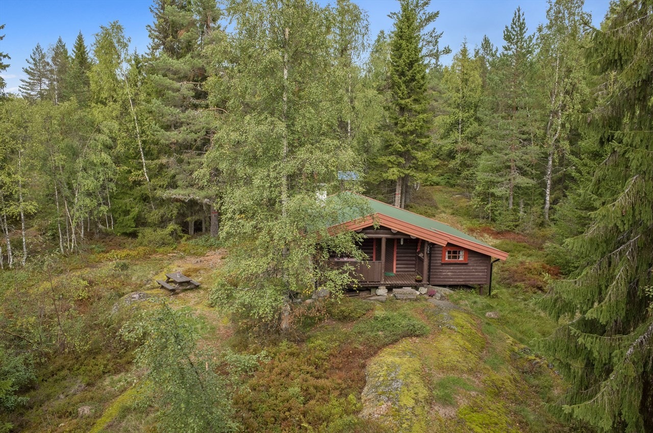 Oversiktsbilde Galleribilde