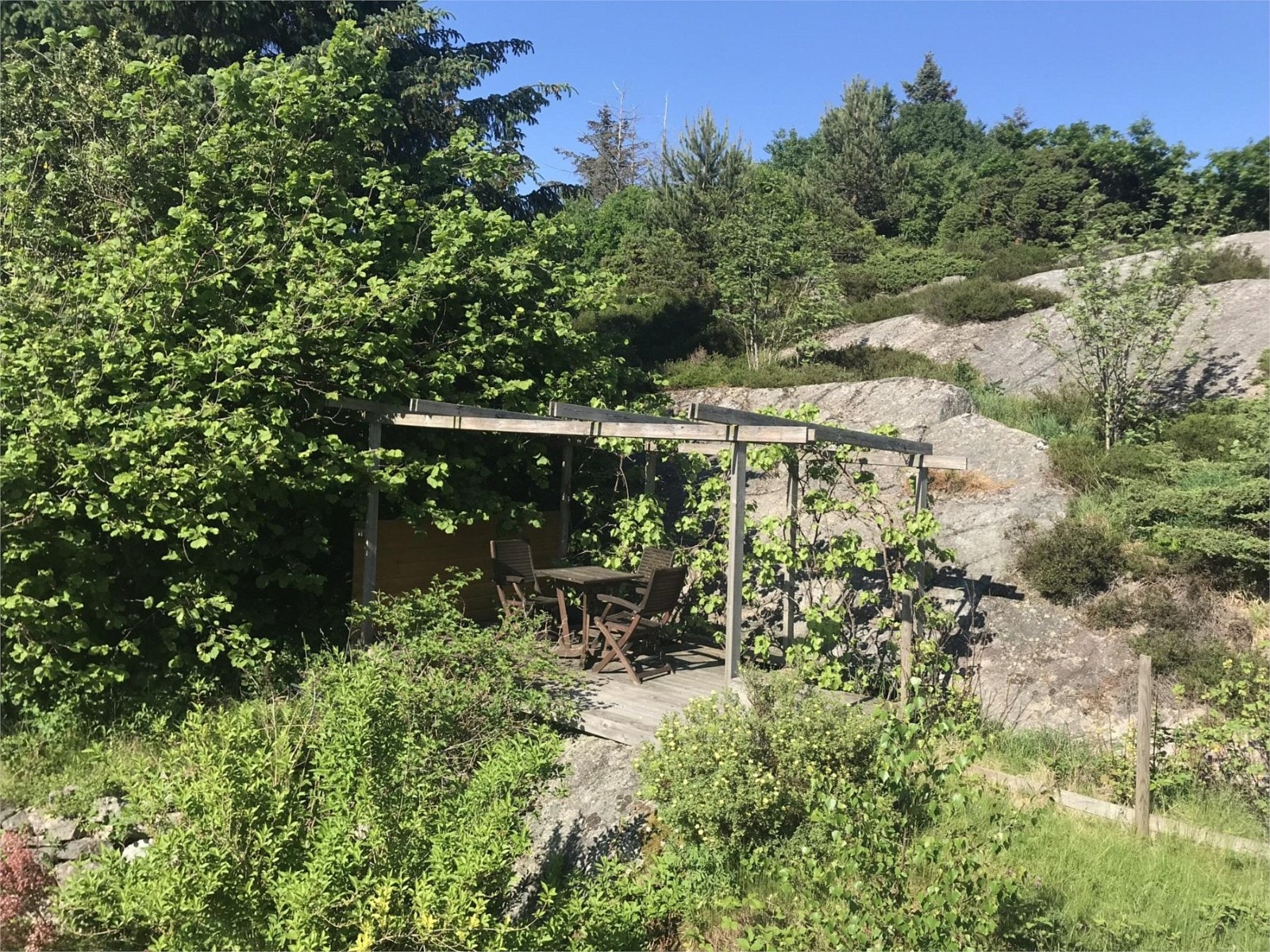 Koselig hagedel Galleribilde