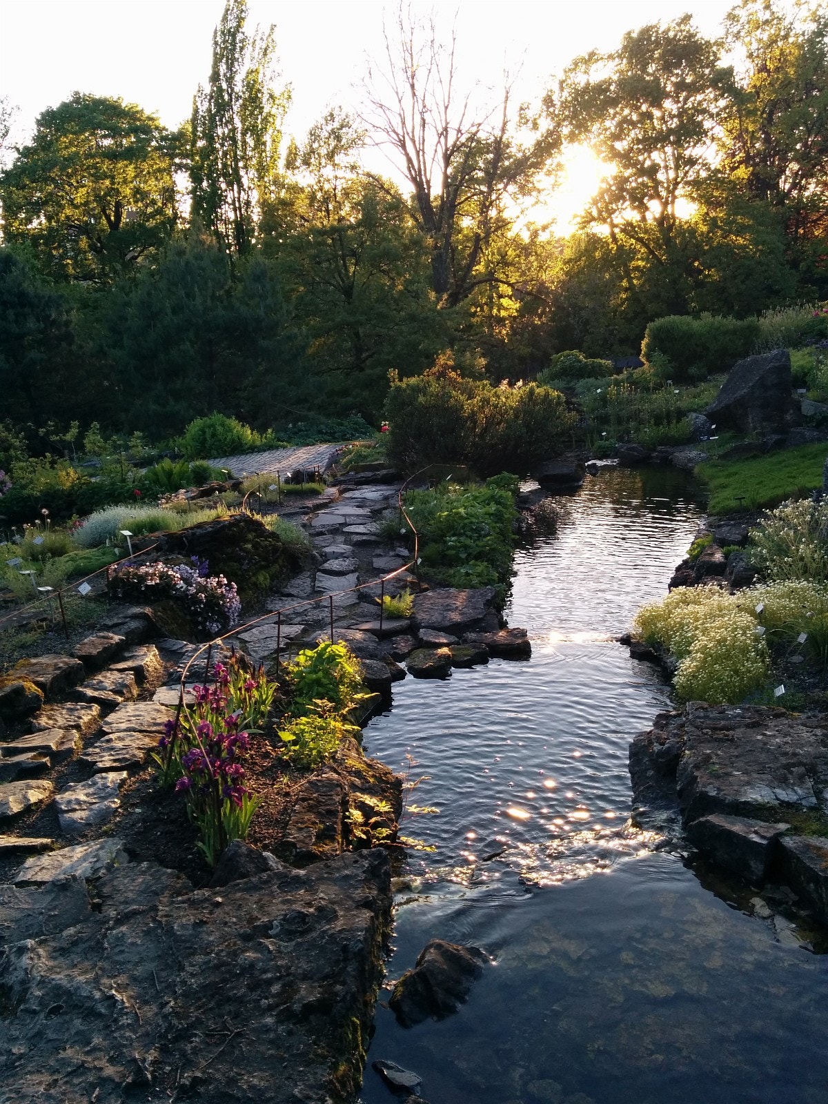 Gåavstand til Botanisk hage. Galleribilde