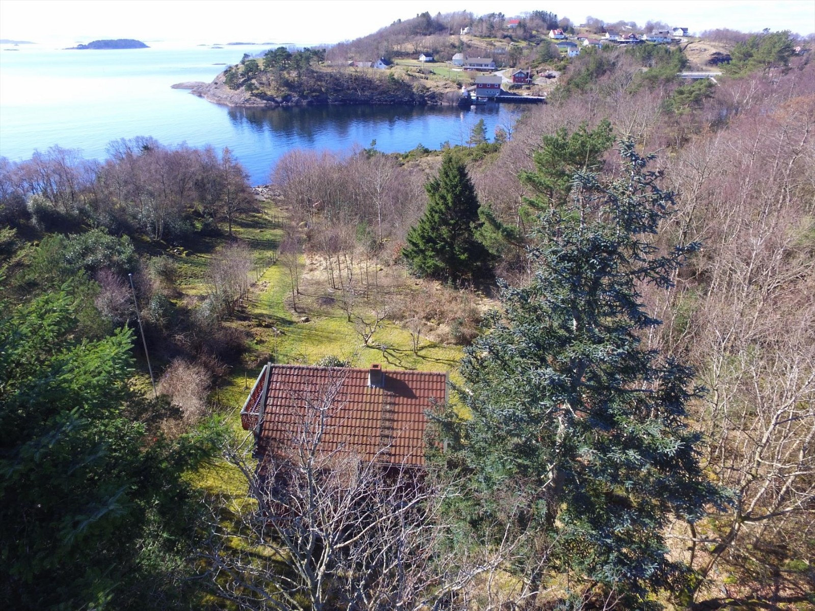 Tomten med plen går helt ned til sjøen Galleribilde