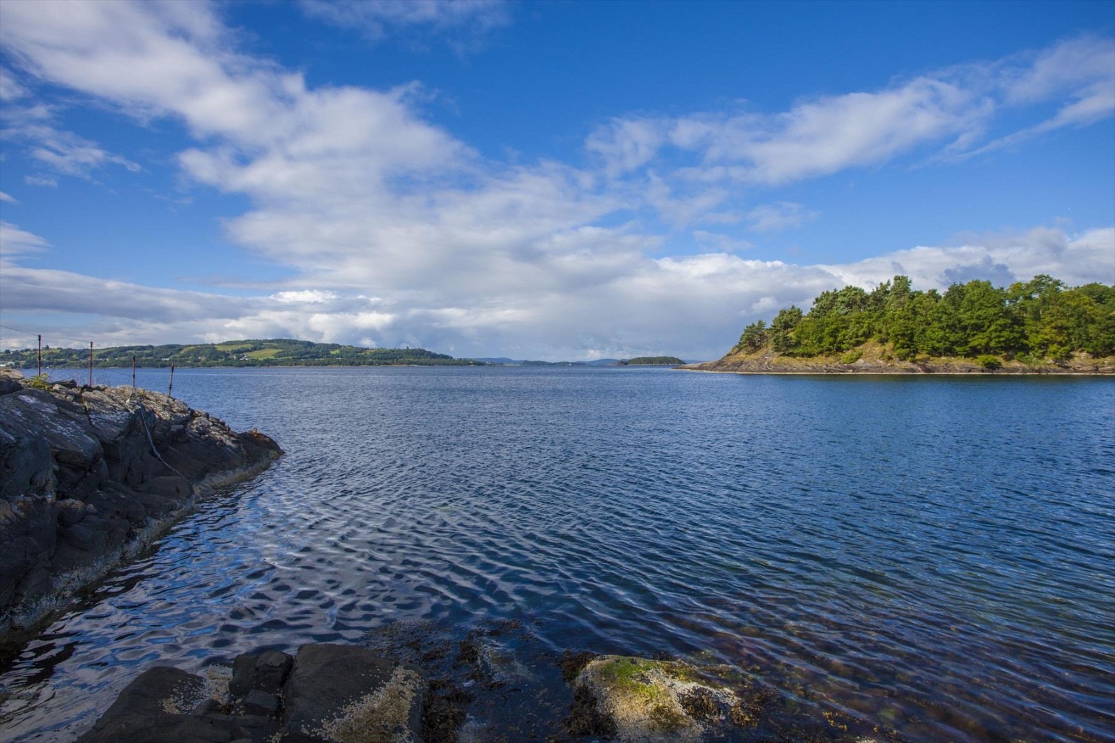 Egen strandlinje! Galleribilde