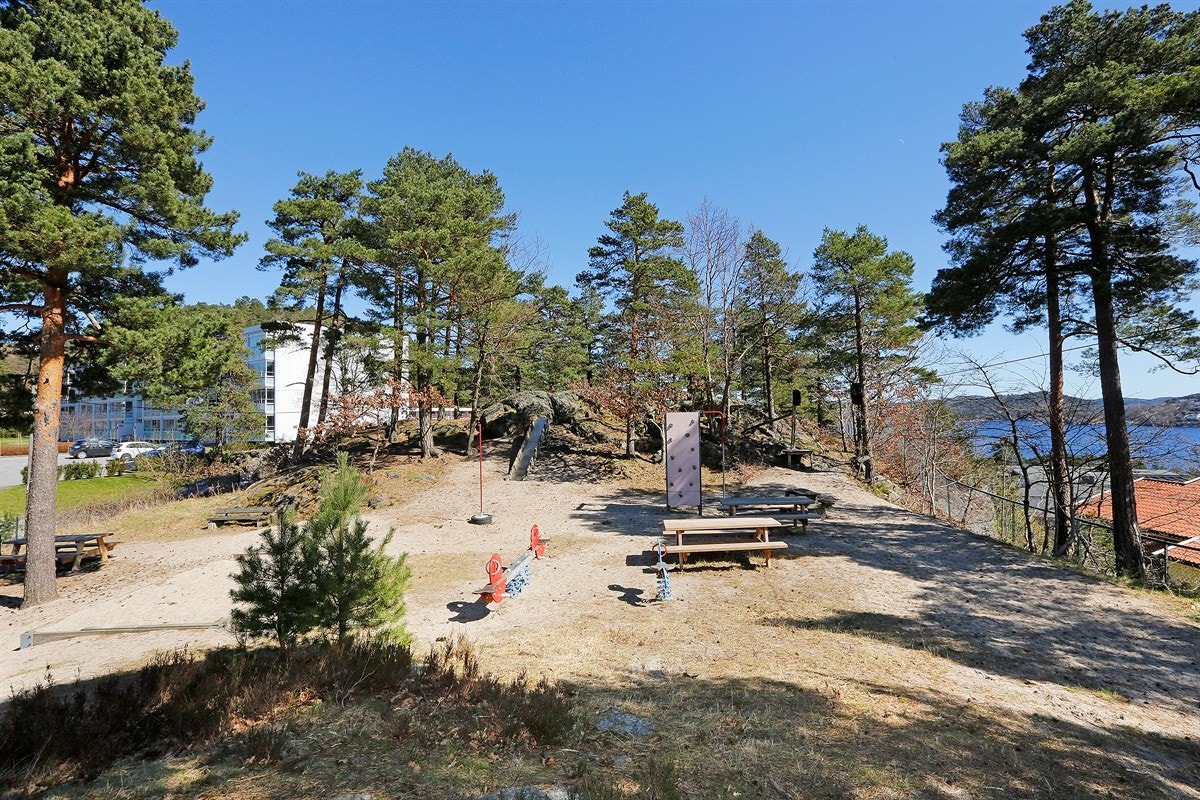 Friområde Galleribilde