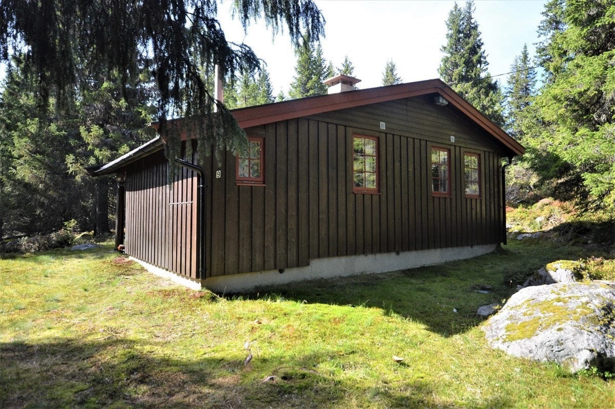 Gode solforhold. Galleribilde