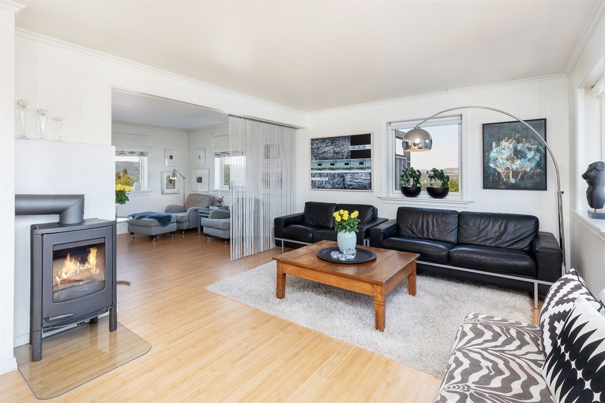 Romslig stue med peisovn Galleribilde