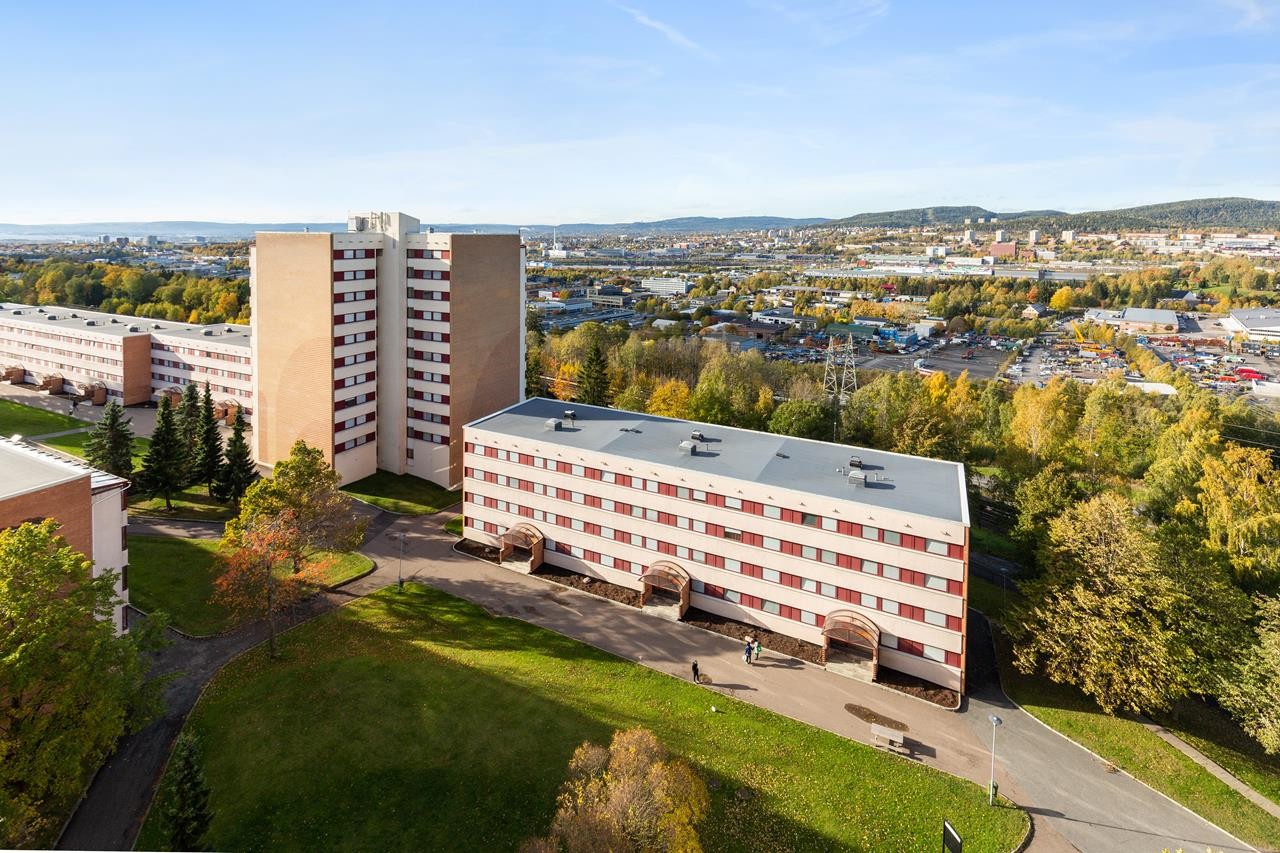 Utsikt Galleribilde