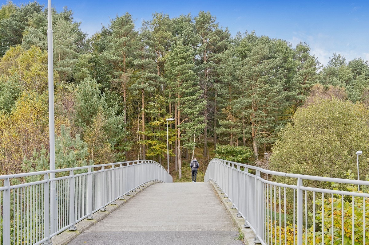 Nærområdet Galleribilde