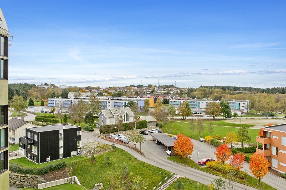 Nabolaget Galleribilde