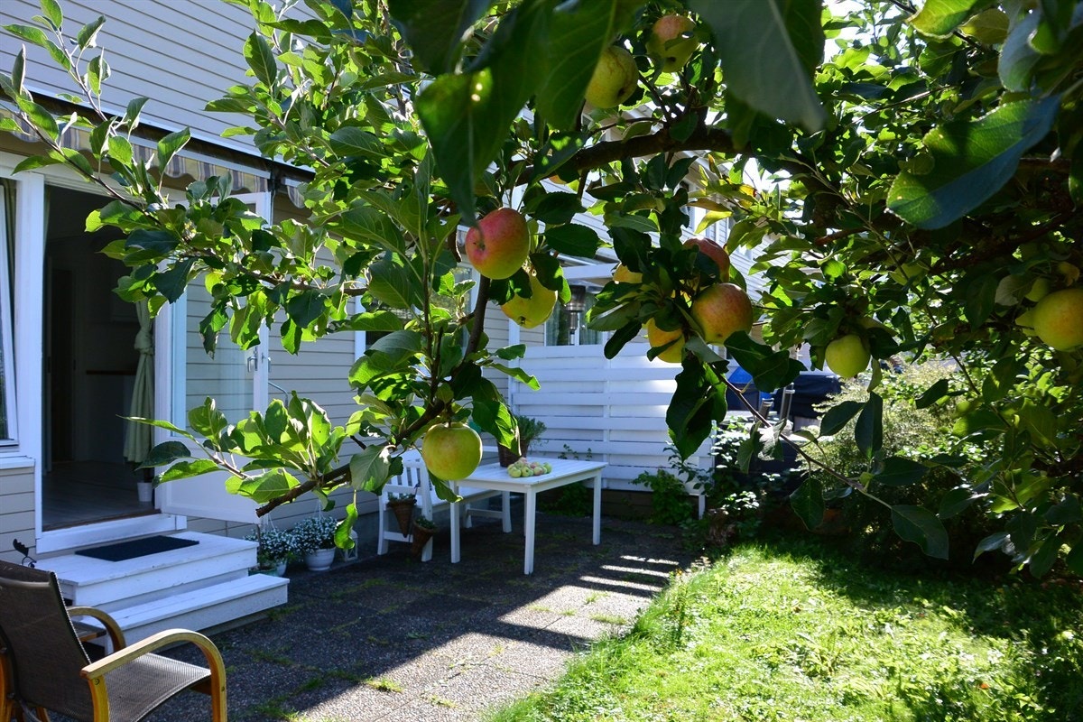 Tomten er pent opparbeidet med gressplen, prydbusker, frukttrær, bærbusker, blomster- og urtebed, samt en fin eplehage. Galleribilde