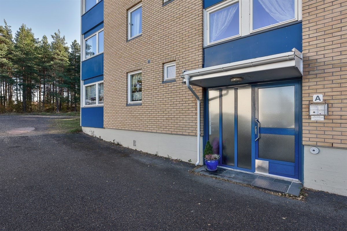 Eiendommen ligger idyllisk til i skogkanten, i et rolig, attraktivt og utpreget barnevennlig område på Sankt Hansberget i Drammen kommune. Galleribilde