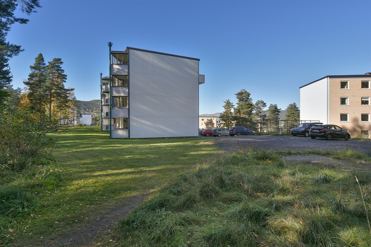 Dagligvarehandelen kan gjøres ved bl.a. Coop Extra, Rema 1000 og Kiwi. Galleribilde