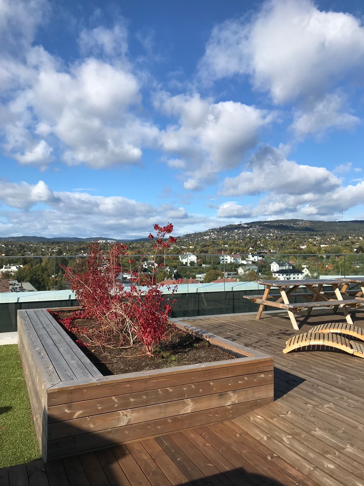 Takterrasse Galleribilde