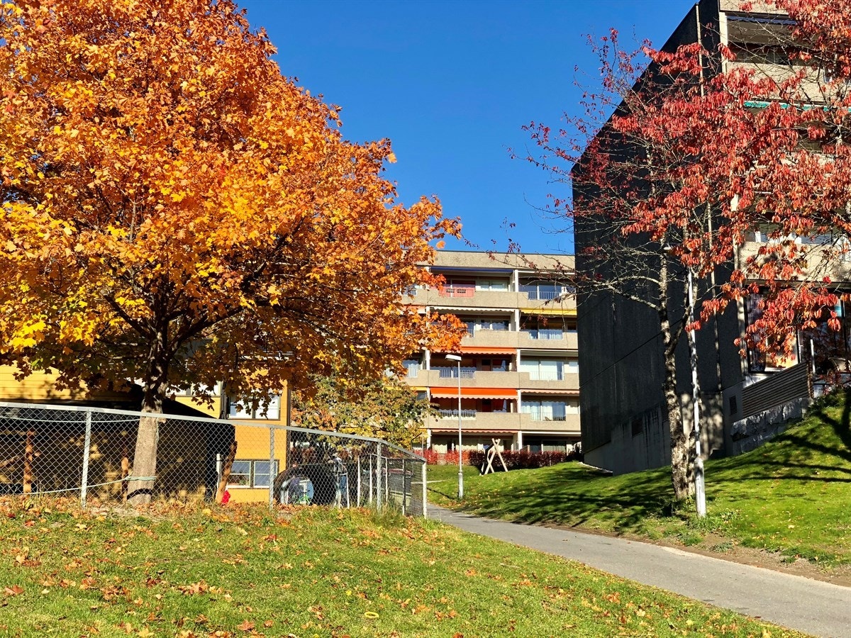 Leiligheten ligger i midten av bildet med oransj markise Galleribilde