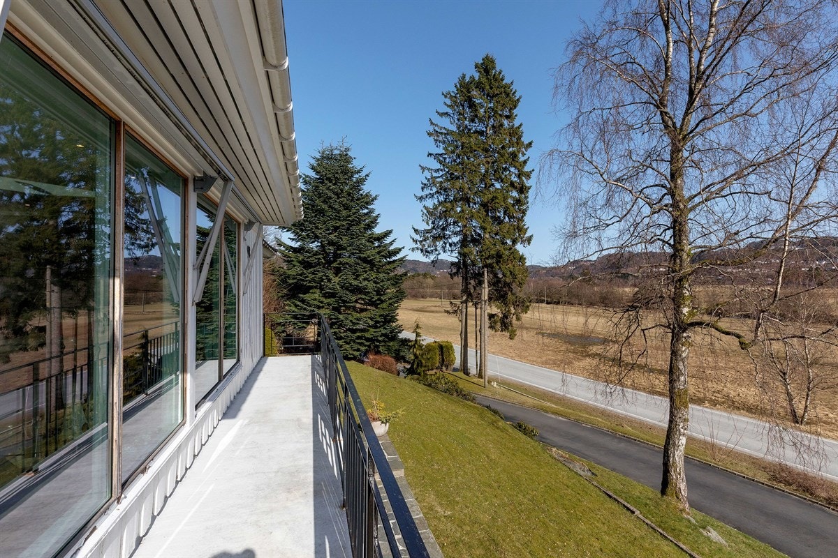 562A3022 Galleribilde