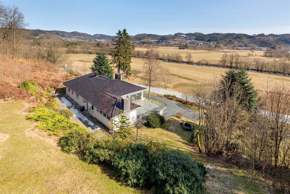 562A2851 Galleribilde