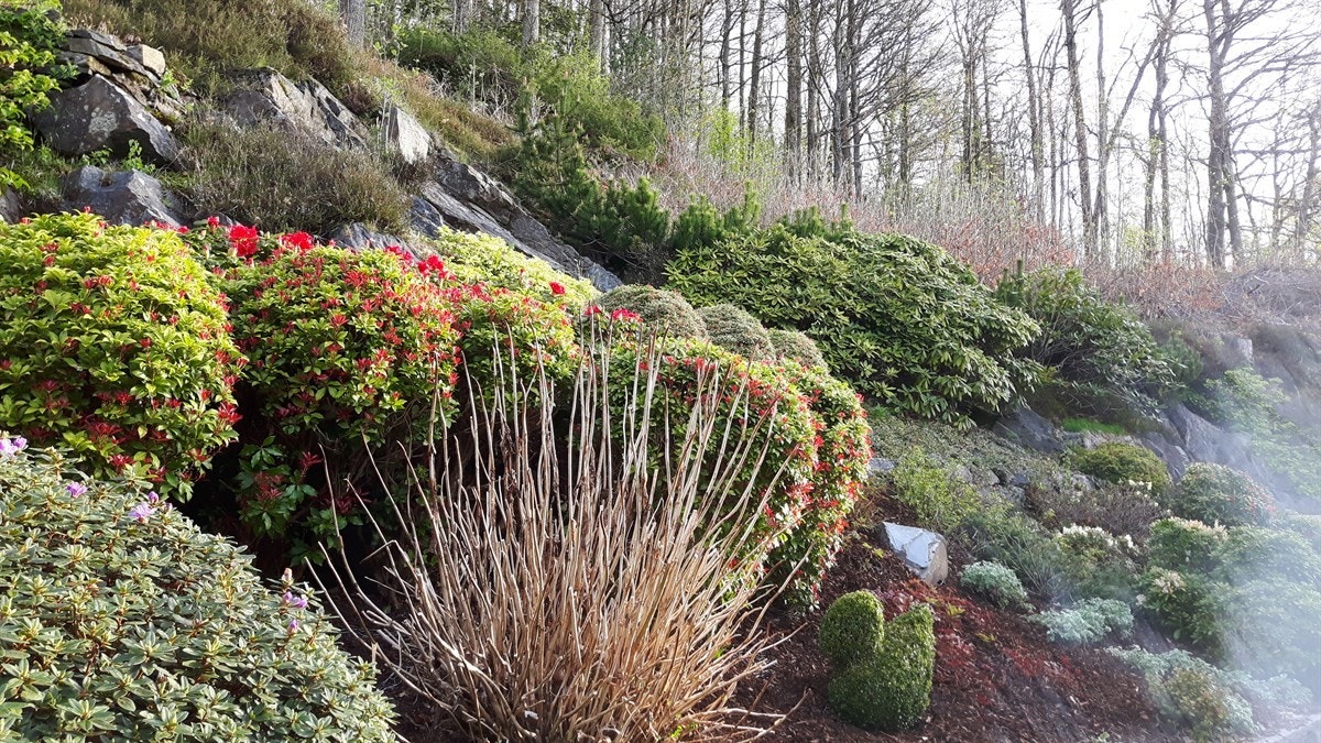 20170509_070216 Galleribilde