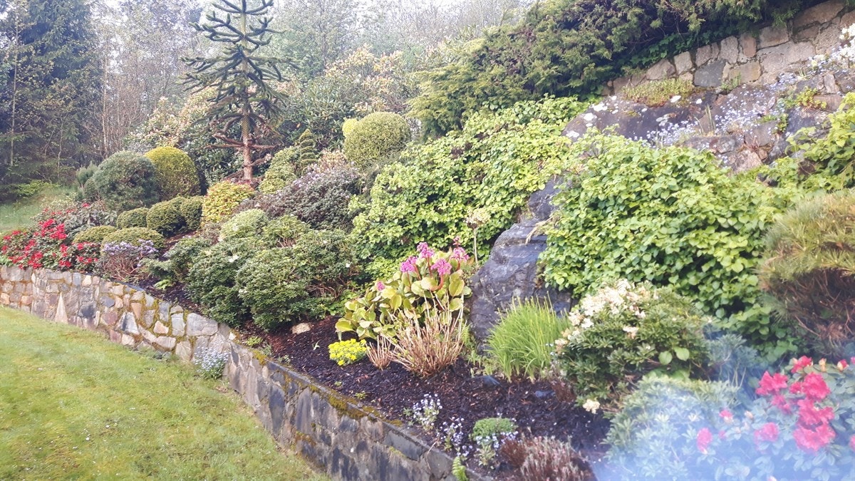 20170515_073438 Galleribilde