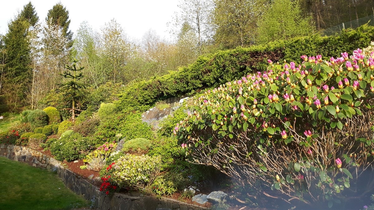 20170509_070208 Galleribilde