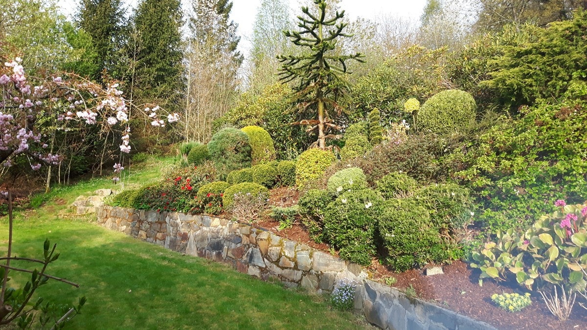 20170509_065303 Galleribilde