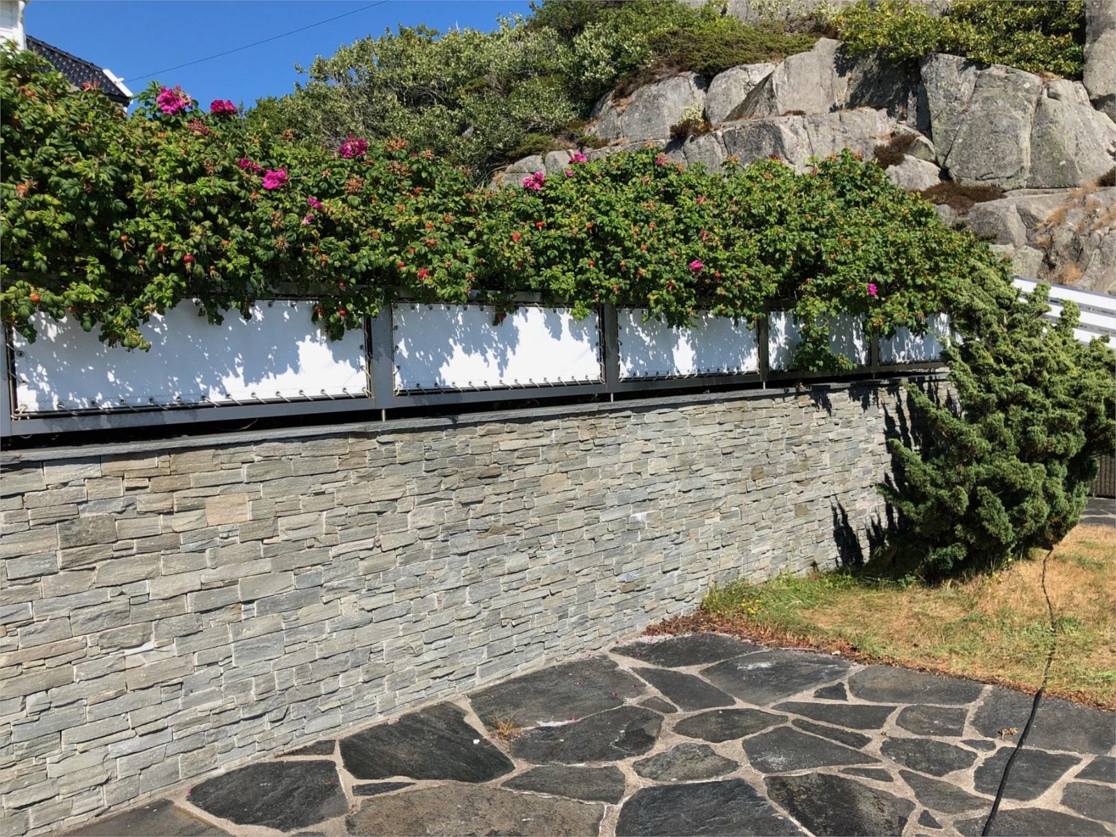 Fra del av hagen i juli 2018 Galleribilde