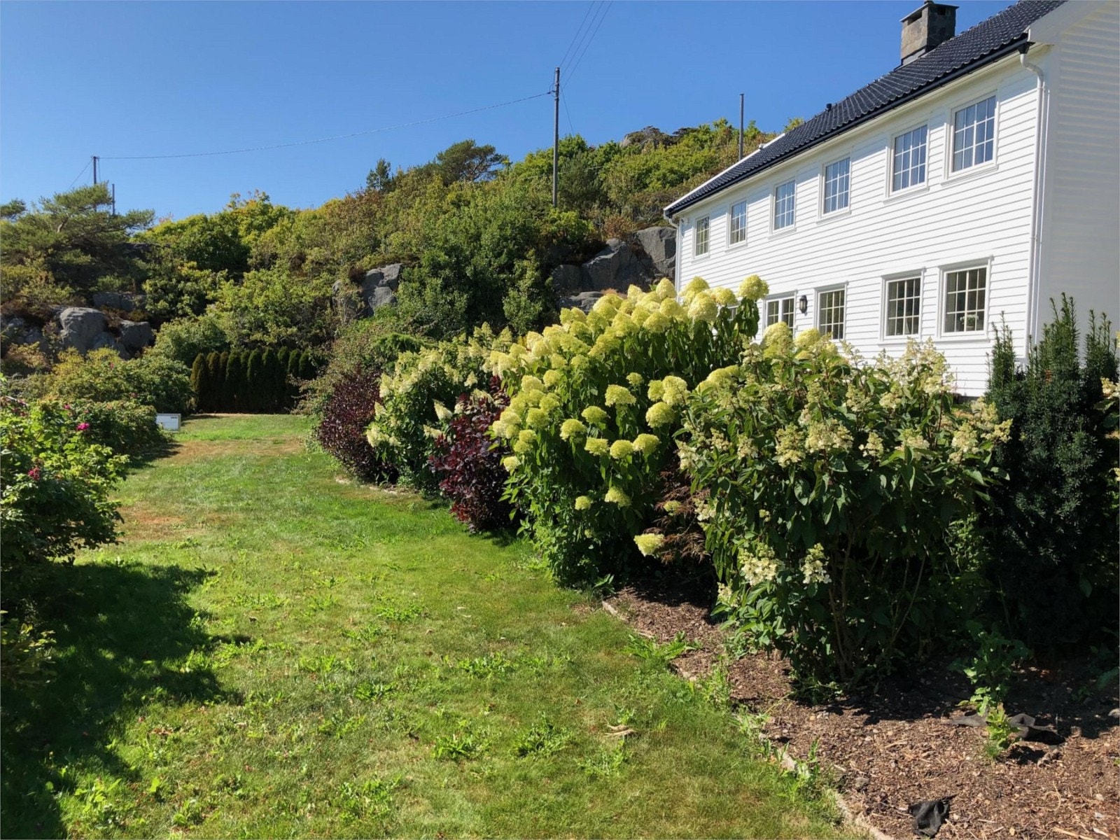 Del av hagen i juli 2018 Galleribilde